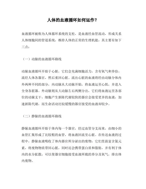 人体的血液循环如何运作？