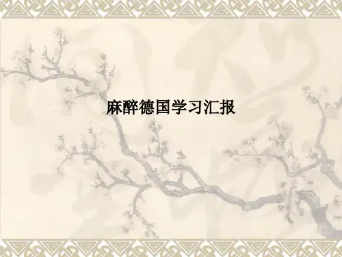 麻醉德国学习汇报