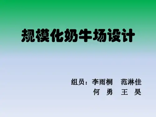 规模化奶牛场设计