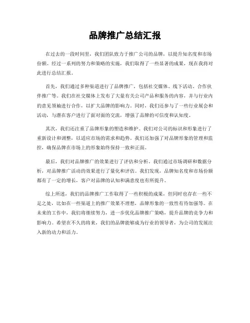 品牌推广总结汇报