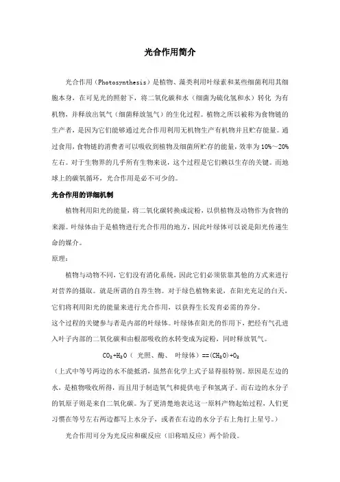最新教科版小学科学三年级下册《种子变成了幼苗》光合作用简介