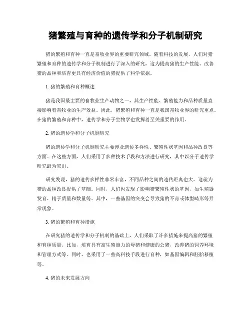 猪繁殖与育种的遗传学和分子机制研究
