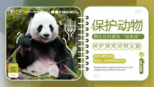 世界动物日PPT模板