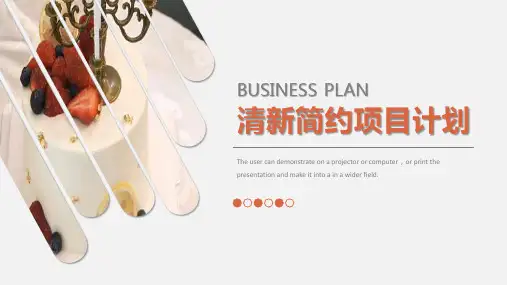 清新简约项目计划PPT模板
