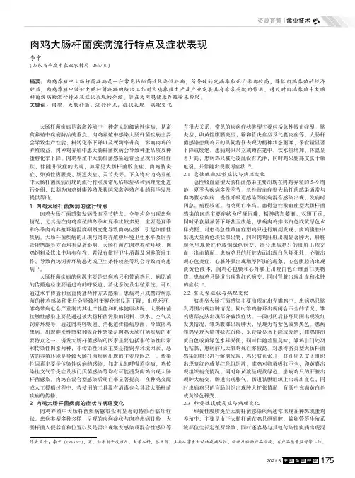 肉鸡大肠杆菌疾病流行特点及症状表现