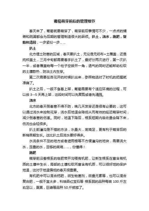 葡萄萌芽前后的管理细节