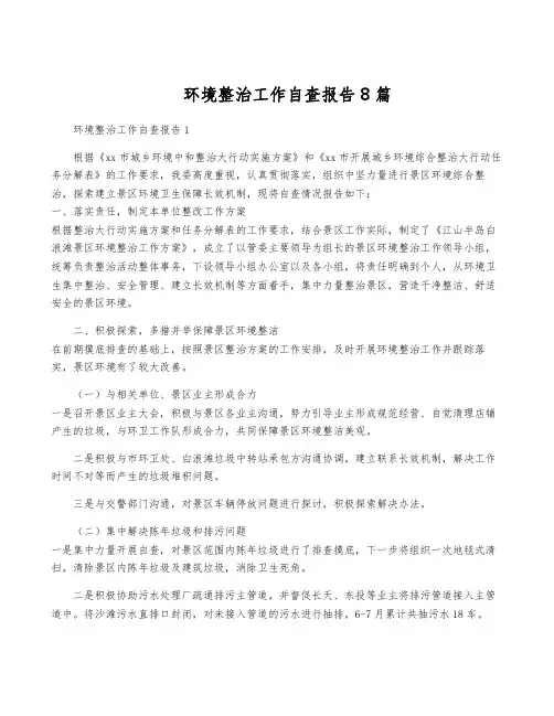 环境整治工作自查报告8篇