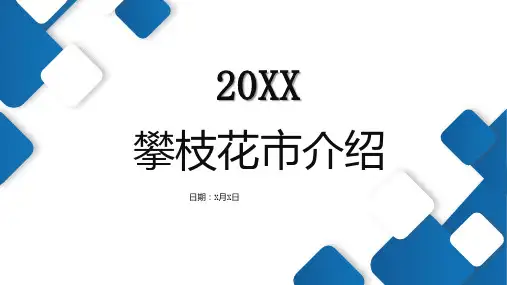 攀枝花市介绍(修正)