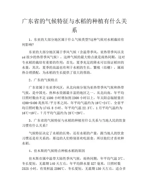 广东省的气候特征与水稻的种植有什么关系