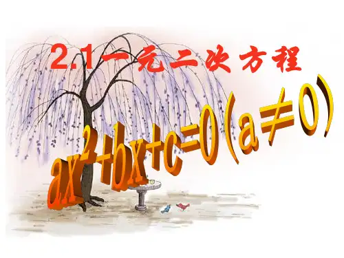 一元二次方程课件(浙教版)