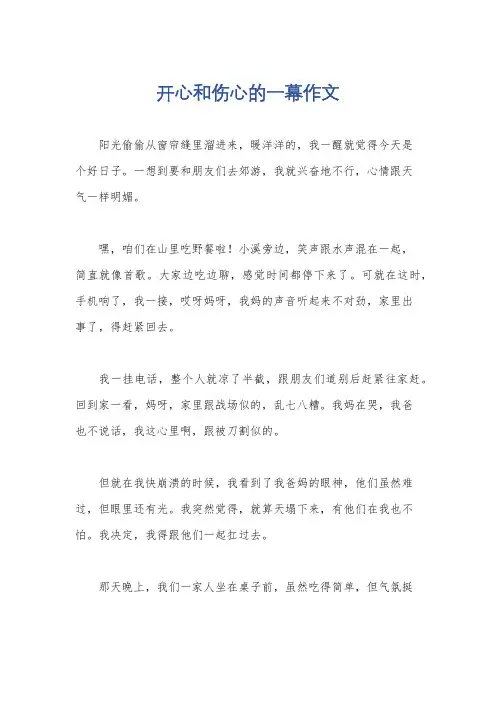 开心和伤心的一幕作文