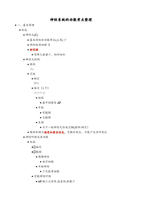 神经系统的功能考点整理