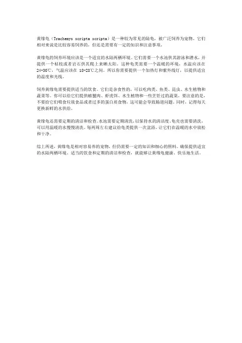 黄缘龟好养吗