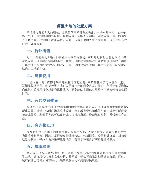 闲置土地的处置方案