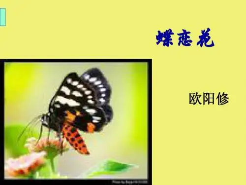 《格高韵远的北宋词》课件