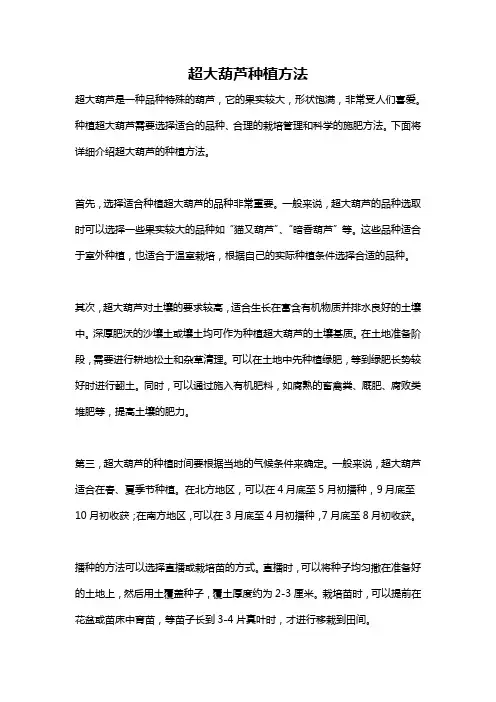 超大葫芦种植方法