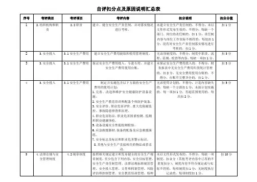 自评扣分点及原因说明汇总表