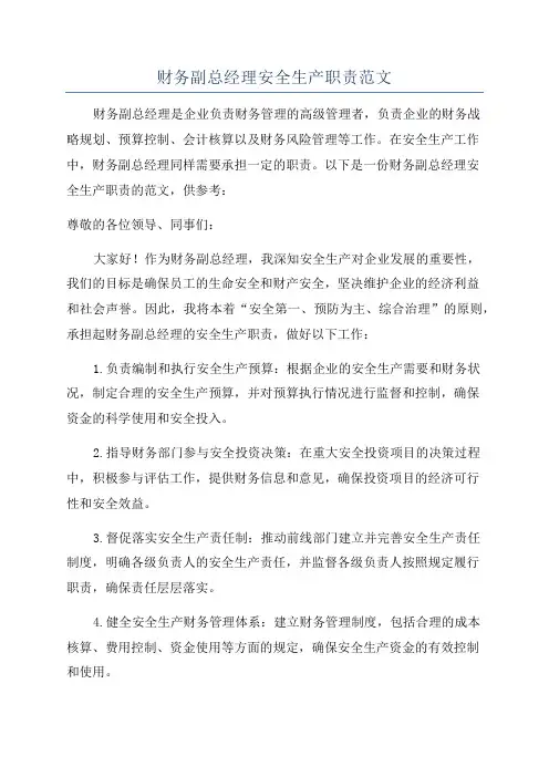 财务副总经理安全生产职责范文