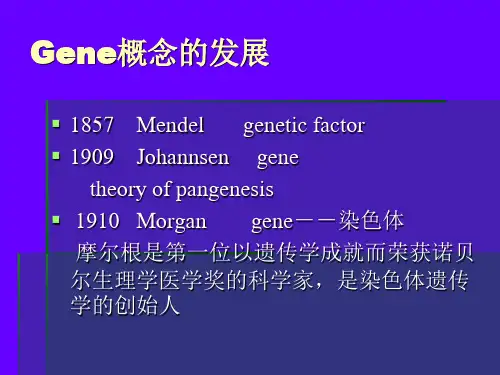 基因的分子生物学PPT课件