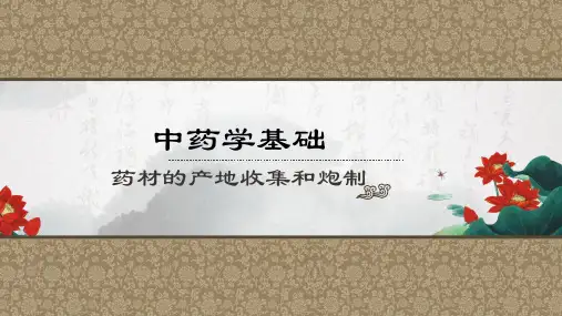 熟知中药的产地与采集加工(中药学基础课件)