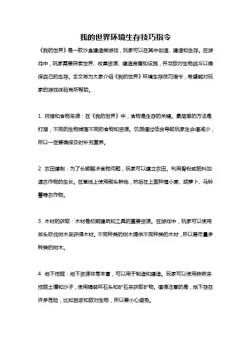 我的世界环境生存技巧指令