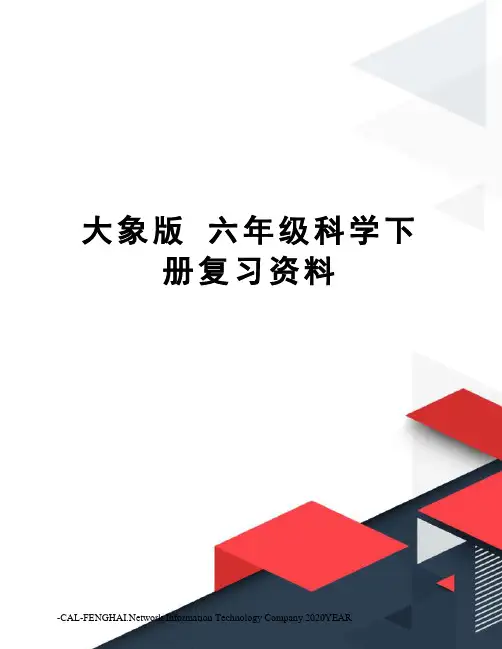 大象版六年级科学下册复习资料
