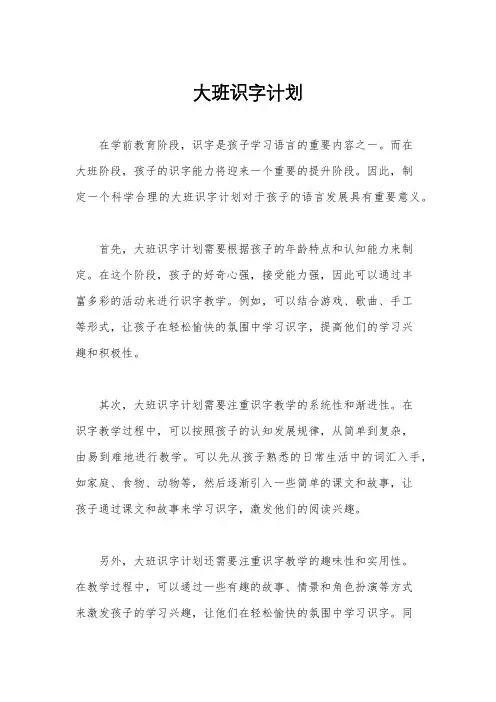 大班识字计划