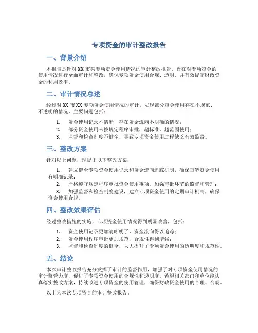 专项资金的审计整改报告