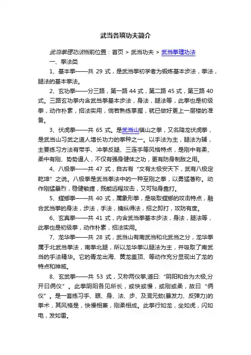 武当各项功夫简介