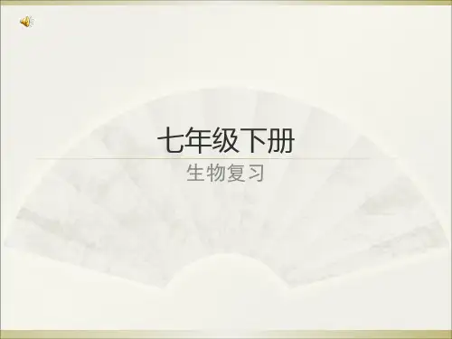人教版七年级下册生物复习课件 (共张PPT)