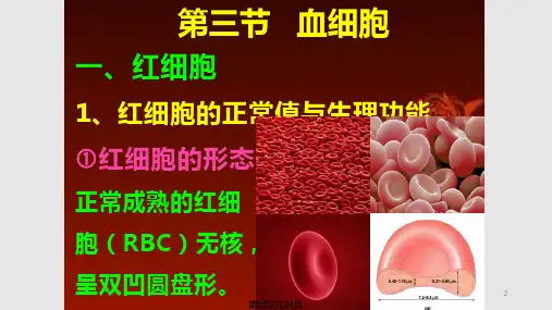生理学血液红细胞PPT课件