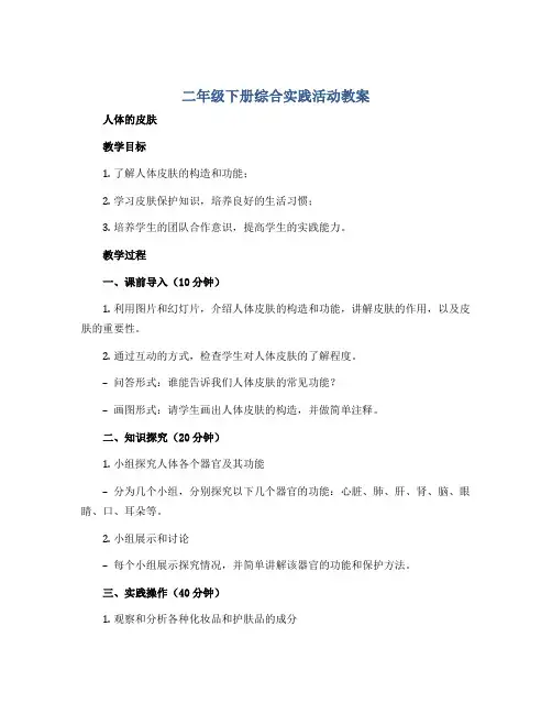 二年级下册综合实践活动教案 人体的皮肤 全国通用