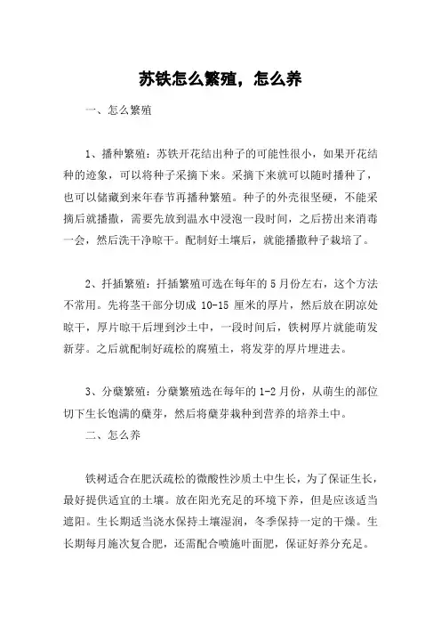 苏铁怎么繁殖,怎么养