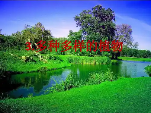 小学六年级上册-多种多样的植物 教科版ppt(11张)