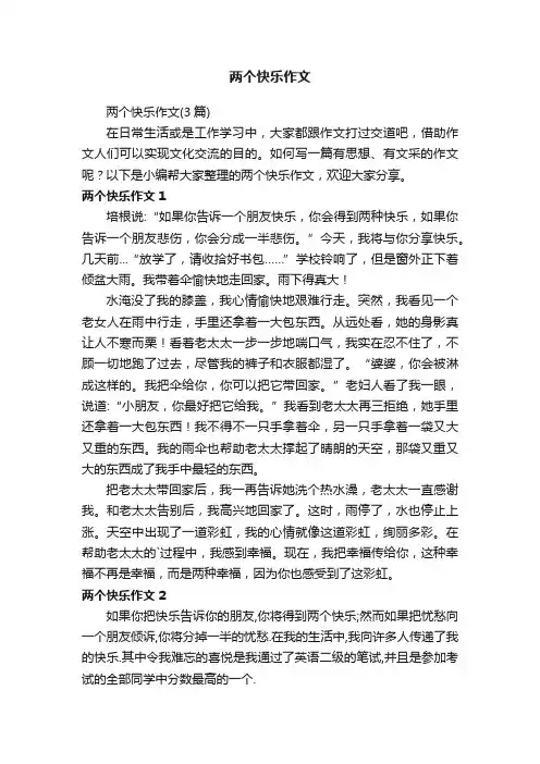 两个快乐作文（3篇）