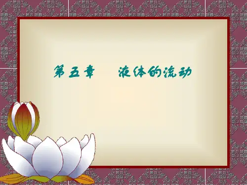 流体力学-1