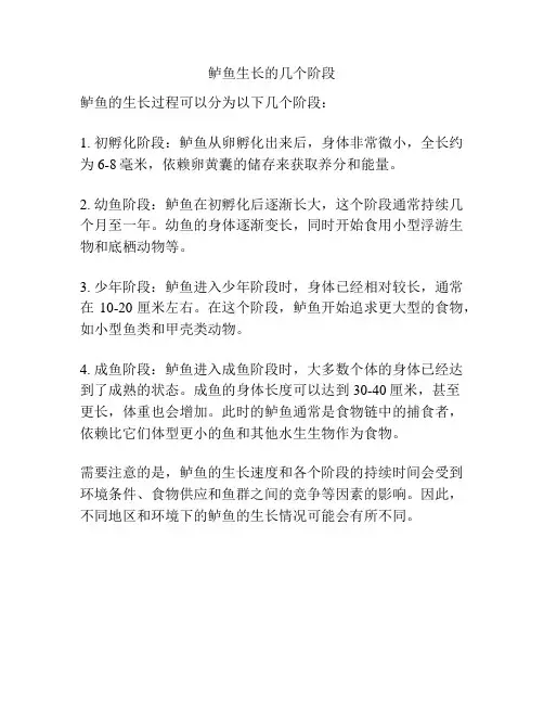 鲈鱼生长的几个阶段