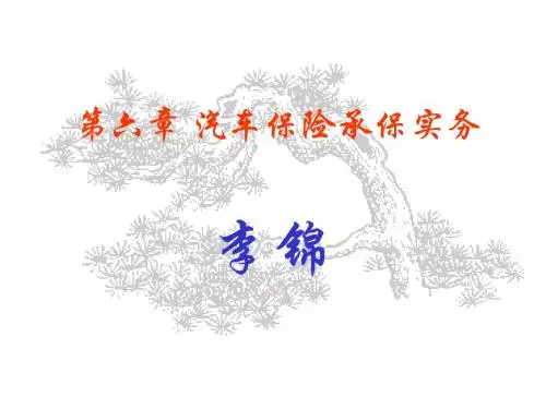 第六章  汽车保险承保实务