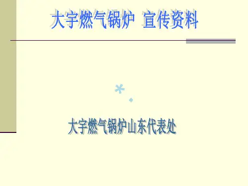 壁挂炉基础知识最全_PPT课件