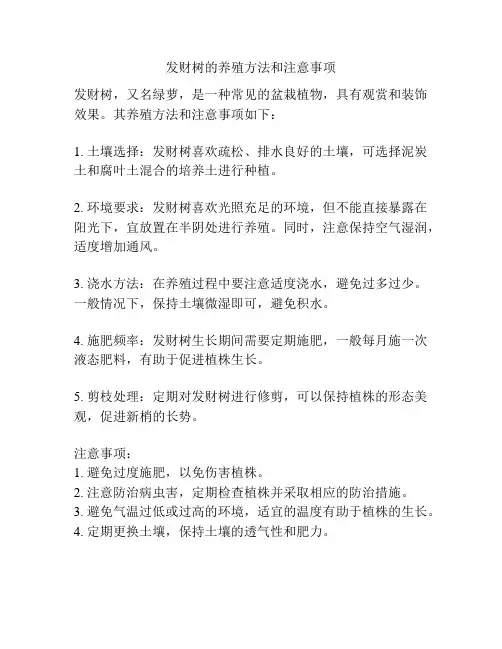 发财树的养殖方法和注意事项