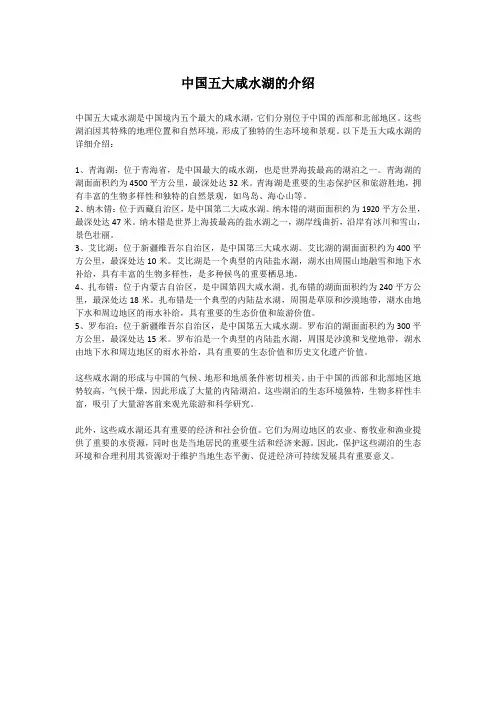 中国五大咸水湖的介绍