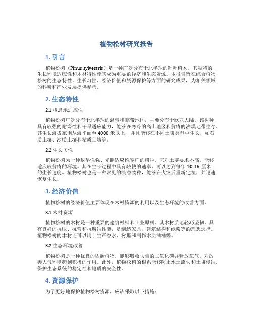 植物松树研究报告
