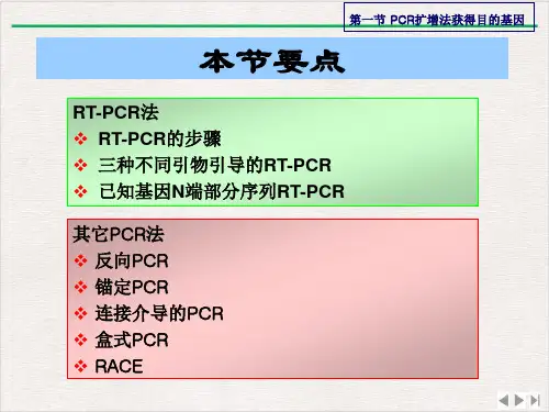 目的基因克隆基因工程原理与技术刘志国课件ppt