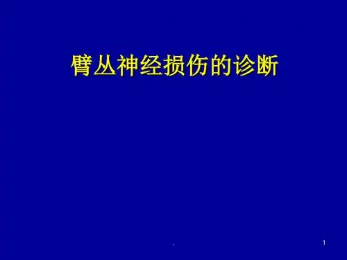 臂丛损伤ppt演示课件