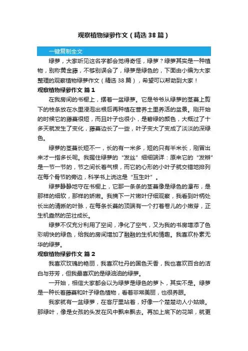 观察植物绿萝作文（精选38篇）