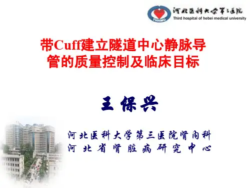 中心静脉导管质量控制