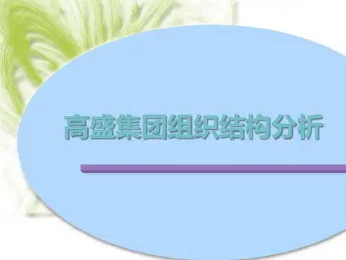 高盛公司组织结构分析