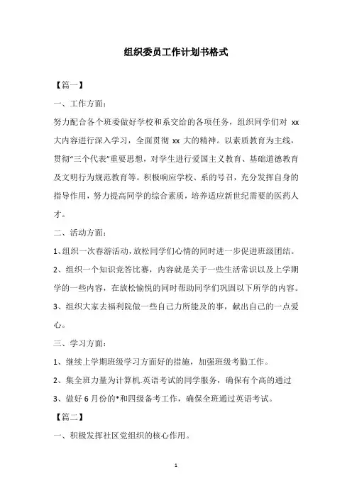 2020年组织委员工作计划书格式