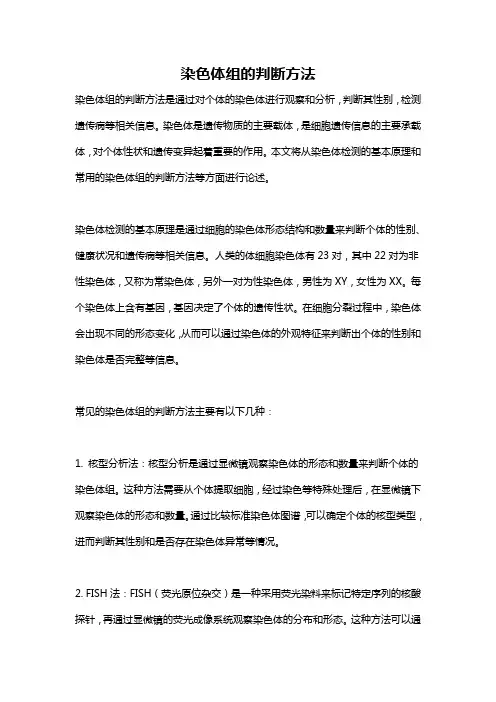 染色体组的判断方法