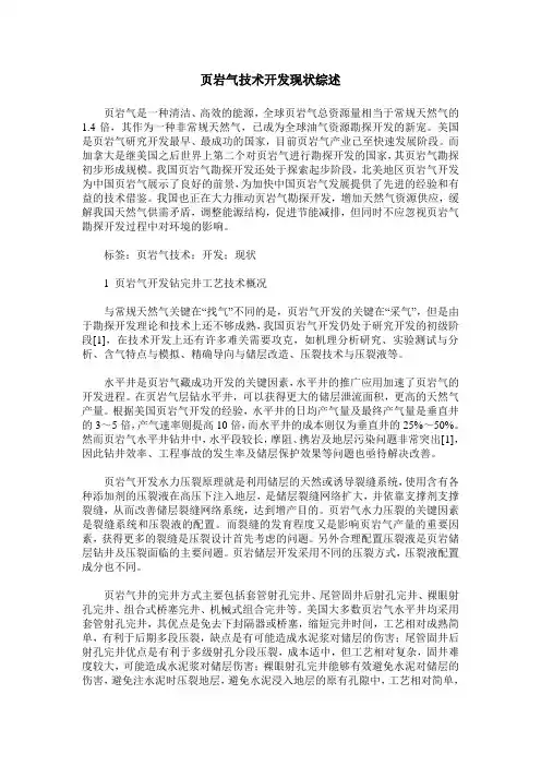 页岩气技术开发现状综述